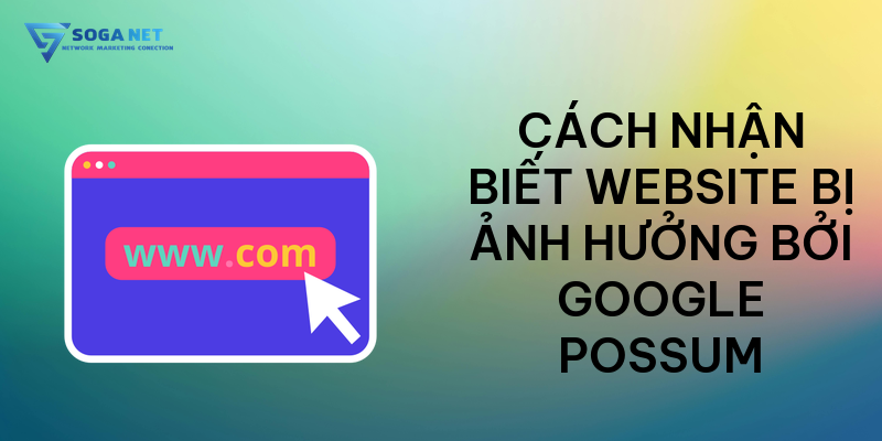 Cách nhận biết website bị ảnh hưởng bởi Google Possum