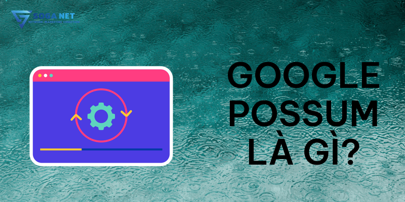 Google Possum là gì ?