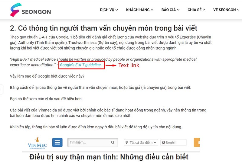 Ví dụ về text link