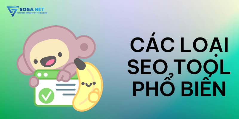 Các loại SEO Tool phổ biến
