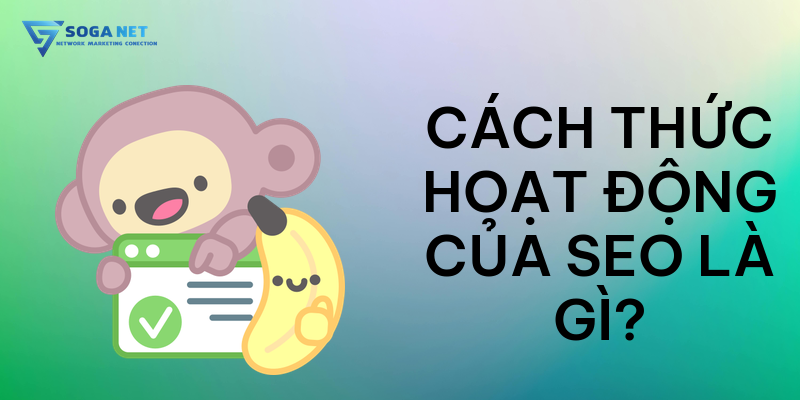 Cách thức hoạt động của SEO là gì