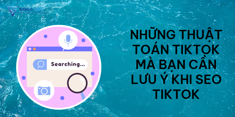 Những thuật toán TikTok mà bạn cần lưu ý khi SEO TikTok