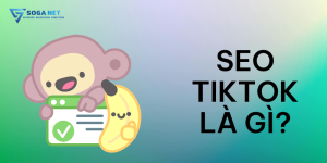 SEO TikTok là gì