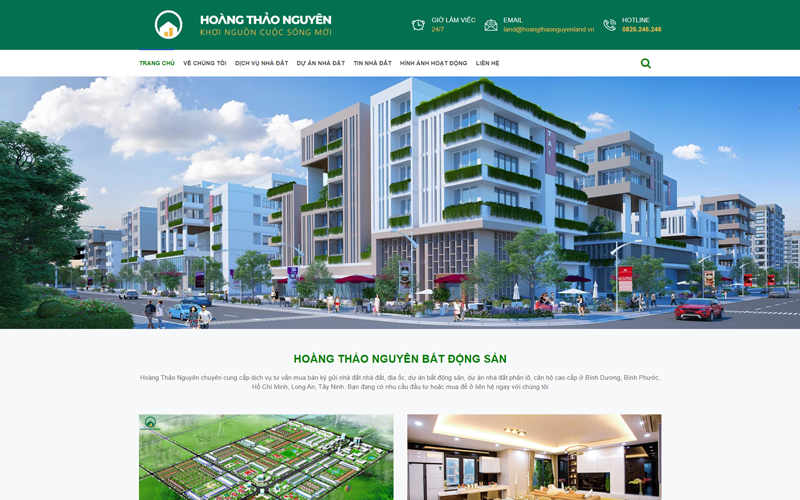 Case study SEO bất động sản