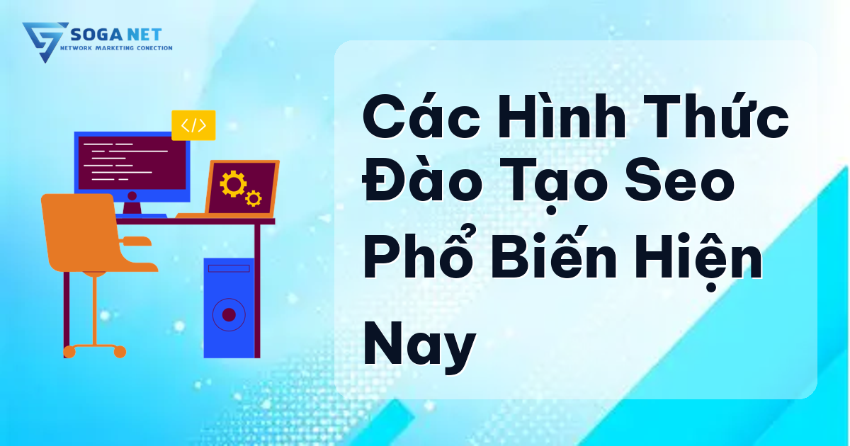 Các Hình Thức Đào Tạo SEO Phổ Biến Hiện Nay