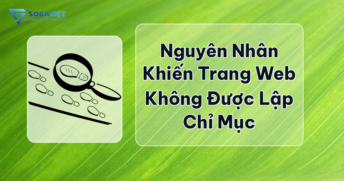 Nguyên Nhân Khiến Trang Web Không Được Lập Chỉ Mục
