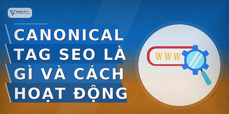 Canonical Tag SEO là gì và cách hoạt động