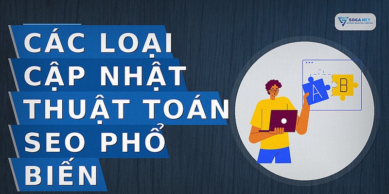 Các loại cập nhật thuật toán SEO phổ biến