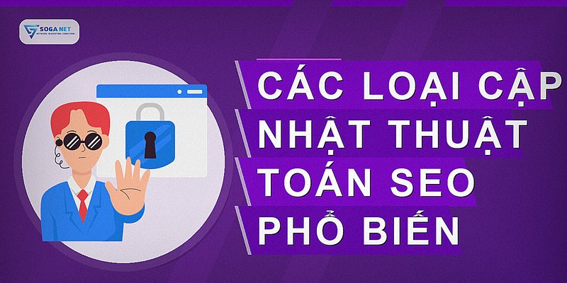Các loại cập nhật thuật toán SEO phổ biến