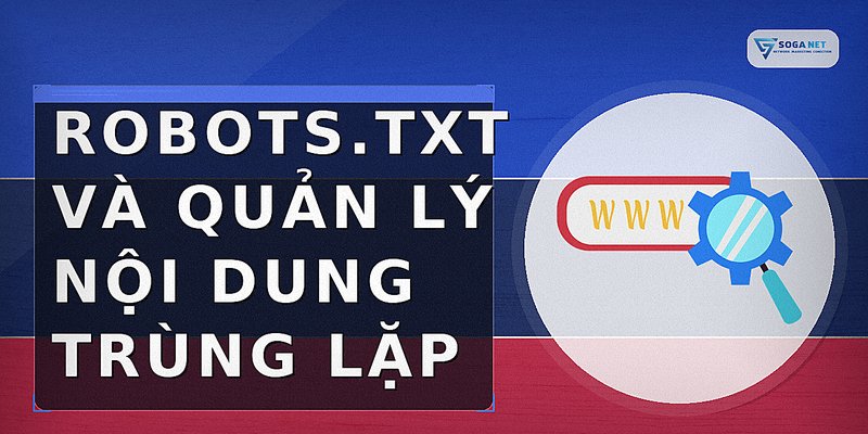 robots.txt và quản lý nội dung trùng lặp