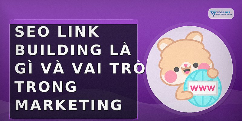 SEO Link Building là gì và vai trò trong marketing